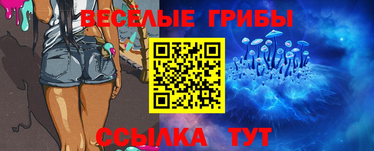 Псилоцибиновые грибы Psilocybine cubensis Электросталь
