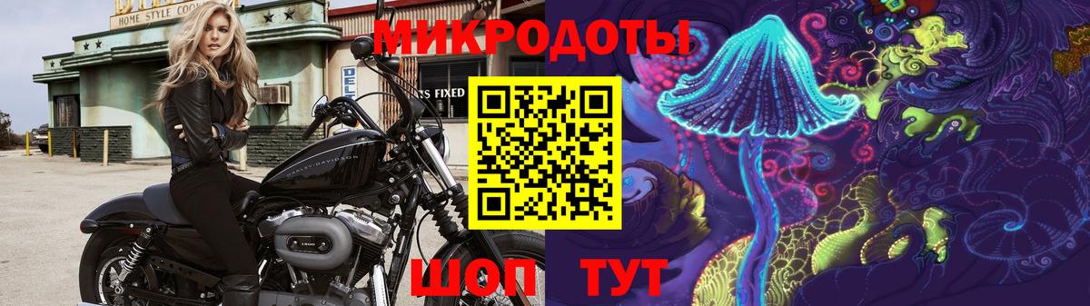 Электросталь  Галлюциногенные грибы мицелий  купить закладку  Вход с VPN 