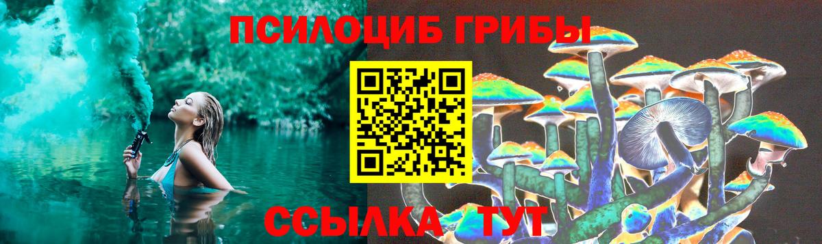 ГАШ Электросталь